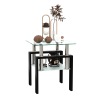 1-Piece Modern Tempered Glass Tea Table Coffee Table End Table, Square Table for Living Room, Transparent/Black