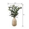15' Artificial Olive Plant in Wood Finish Ceramic Vase – Tabletop Decorative Accent